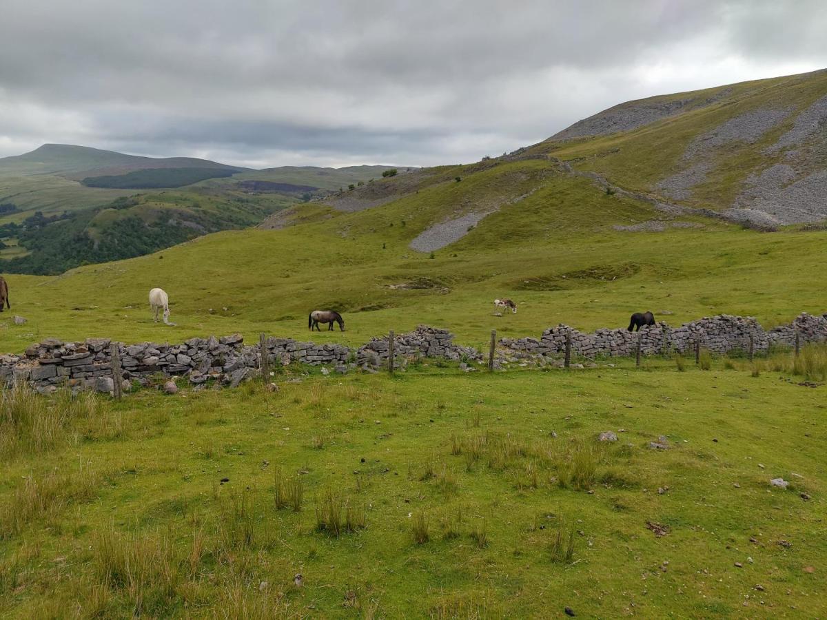Pentre Cottage Near Craig Y Nos Pen-y-cae  Dış mekan fotoğraf